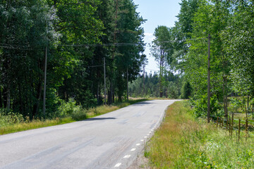 road in the woods