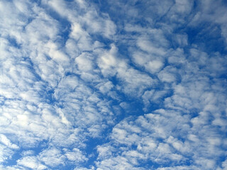 Obraz premium Big White Fluffy Clouds on A Blue Sky With Fine Whispy Lines