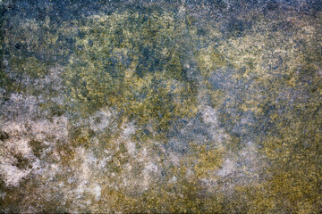 Mossy Stone Texture Background