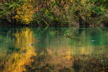 adda river during the autumnal season, lecco