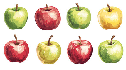 Apple watercolor clipart isolated on white background. Set of healthy fruit apples vector painting style illustration