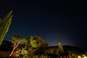 Midnight sky at the mediterranean, evergreen trees and stars in the sky
