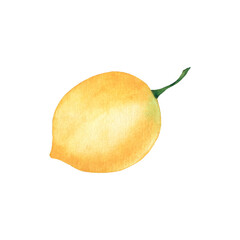 Watercolor whole lemon on white background.