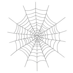Fototapeta premium spider and web