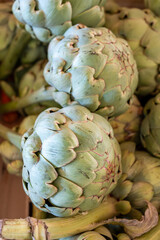 Fototapeta premium Fresh ripe green organic artichokes heads on local farmers market in Dordogne, France