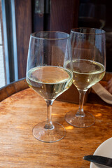 Glass of txakoli or chacolí slightly sparkling very dry white wine produced in Spanish Basque Country in typical pinchos bar in old part of San Sebastian or Donostia, Spain