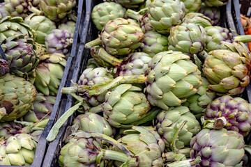 Obraz premium Fresh ripe green organic artichokes heads on local farmers market in Dordogne, France