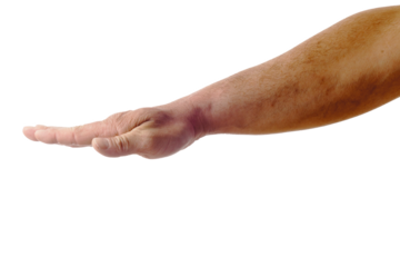 Adult male hand showing gesture holding down isolated on white