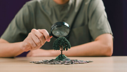 A person uses a magnifying glass to examine a tree growing from coins, representing careful investment planning, financial growth, and sustainable wealth development.