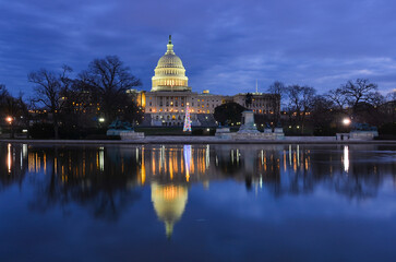 US Capitol Building and Christmas tree at night - Washington D.C. United States
