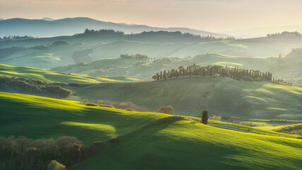 Fototapeta premium Landscape in Pienza with rolling hills at sunset. Tuscany, Italy