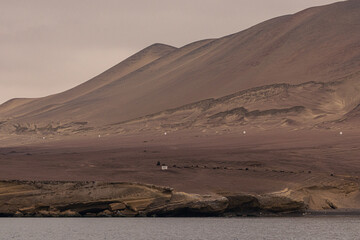 Paracas y Huacachina