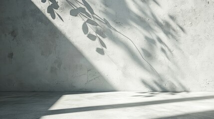 Empty kitchen room with white concrete texture, leaf shadow on wall, studio background with sunlight reflection on gray cement floor, and abstract lighting for product display.