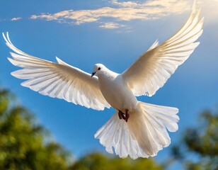 Obraz premium Flying White Dove Against Blue Sky as a Symbol of International Day of Peace