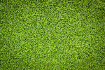 Obraz premium green grass texture background