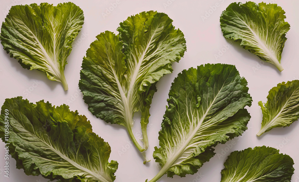 Poster bunch of green lettuce leaves are arranged in a row. the leaves are all different sizes and shapes