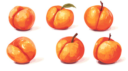 Vector watercolor style peach apricot Illustration clipart peaches apricots isolated on a white background
