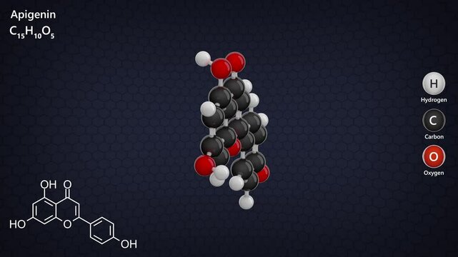 Apigenin. Animated 3D model of a molecule. Molecular formula: C15H10O5. Chemical model: Ball and sticks. Dark background. 3D rendering. Seamless loop.