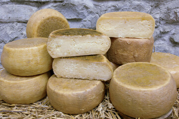 Pecorino di Farindola typical sheep cheese produced in Abruzzo by the women of Farindola inside the Gran Sasso National Park