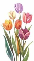 Obraz premium A vibrant bouquet of colorful tulips in various shades, showcasing their beauty and natural elegance against a simple background.