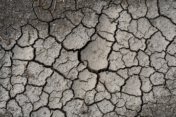 Cracked dried earth texture, revealing intricate clay patterns formed by heat and drought.