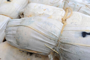 Fossa cheese in Sogliano sul Rubicone. opening of the Fossa Cheese maturing pits