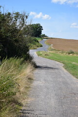 curvy dirt road and road up the hill