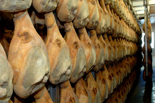 prosciutto di sauris