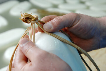 11/11/2023 Sila Calabria Italy. Silano DOP cheese is a typical cheese produced in Sila National...