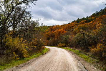 Countryside road on a cloudy autumn day. Beautiful roadway, orange, red and yellow trees, blue sky with clouds. Landscape with country road in fall. Empty asphalt road. Colorful forest.