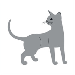 Stylish Gray Cat in Side View with Curved Tail