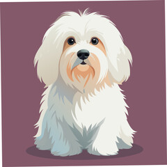 A digital illustration of a Cotton de Tulear dog, known for its intelligence and small size, perfect for dog lovers and pet-themed designs.