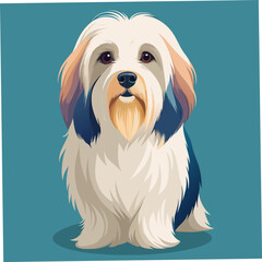 A cute and intelligent Havanese dog breed, known for its small size and friendly nature. Perfect for dog lovers and pet enthusiasts.