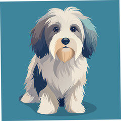 A cute and intelligent Havanese dog breed, known for its small size and friendly nature. Perfect for dog lovers and pet enthusiasts.