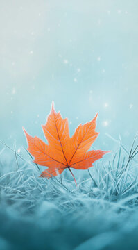 A close-up of an orange maple leaf on the grass, with frost covering it