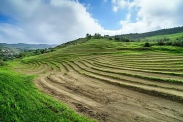 Hilly landscape with vineyards, Hexental, near Freiburg im Breisgau, Markgraflerland, Black Forest, Baden-Wurttemberg, Germany, Europe. Beautiful simple AI generated image