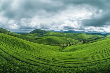 Fototapeta premium Agricultural Irrigation and Eco-Friendly Farming Practices for Sustainable Growth. Beautiful simple AI generated image