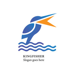 kingfisher bird simple vector illustration