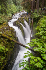 Naklejka premium Majestic Sol Duc Falls in Olympic National Park Amidst Lush Greenery.