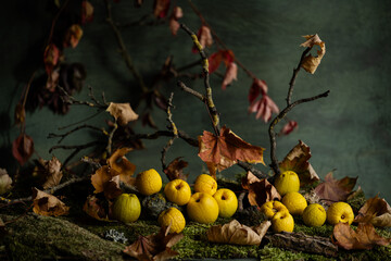 still life, phyto design, flower arrangement, ikebana, wildflowers, Chinese quince fruits, colored maple leaves, golden quince fruits.