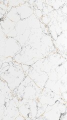 Obraz premium Abstract white marble background with soft and subtle textures, texture, abstract, stone, soft, natural