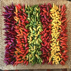 A Vibrant Display of Colorful Chili Peppers Arranged in a Beautiful Pattern on a Woven Basket, Showcasing the Rich Diversity of Fresh Produce
