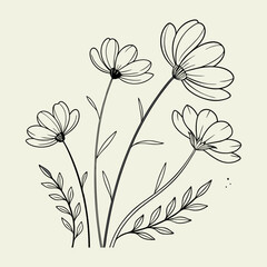 Black and white botanical illustration with simple line art flowers and leaves