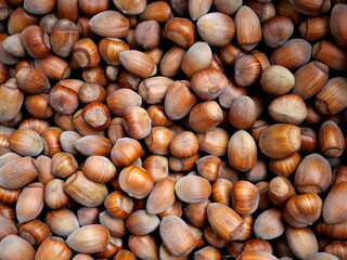 hazelnut - Ripe hazelnuts, perfect texture for fall designs and culinary projects.