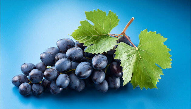 Uvas
