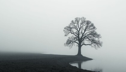 black and white photograph of a tree at a lake