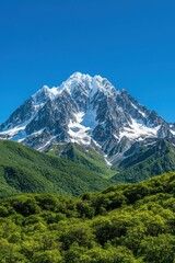 Fototapeta premium Majestic Snow-Capped Mountain Surrounded by Verdant Green Forest Under Clear Blue Sky