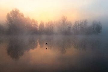 brouillard en Gironde