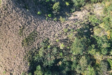 O reflorestamento de um morro, em Seropédica, Estado do Rio de Janeiro.