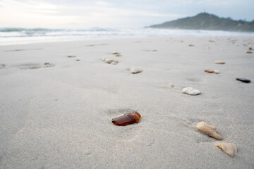Trash on the beach | Polluted beach | Ocean and Beach Pollution | Beach cleanup | Ocean cleanup